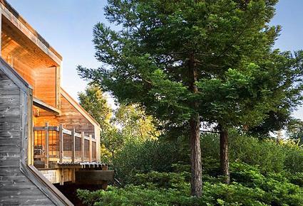 زواج شون باركر بحفل أسطوري ب10 ملايين دولار